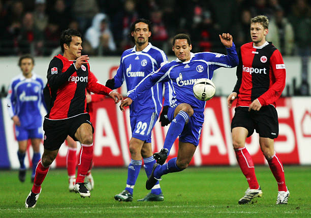 德约科维奇 德约科维奇