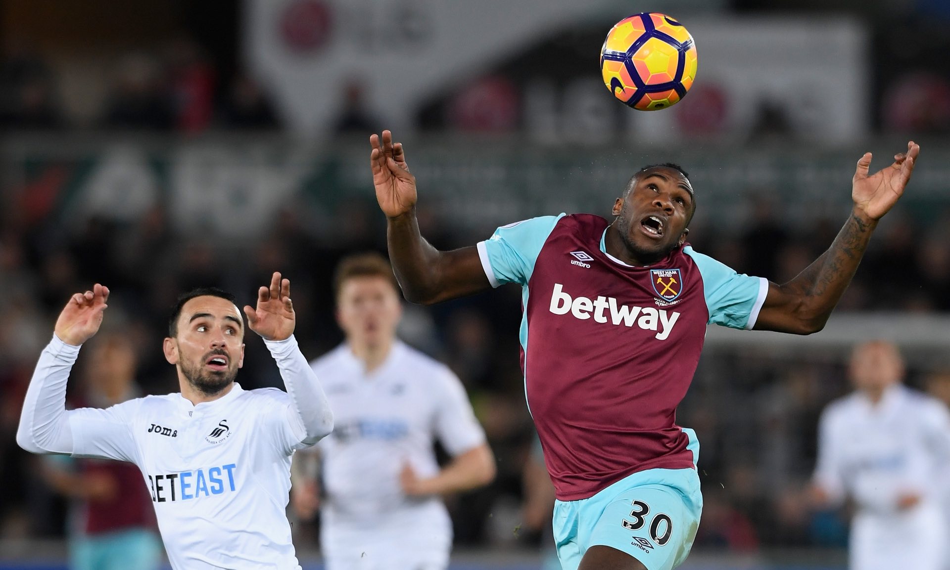 在未来极有 在未来极有